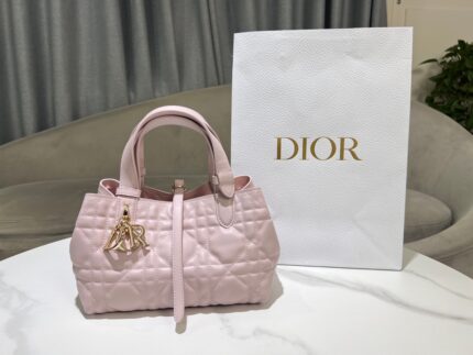 Dior Toujours Small Pink Bag
