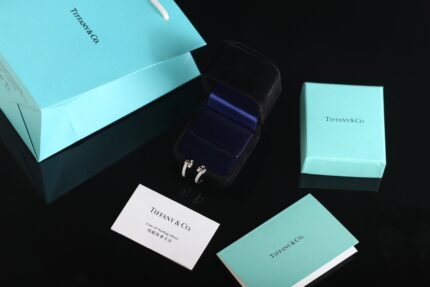 Tiffany Edge Collection Earrings