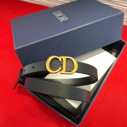 Dior Saddle Belt